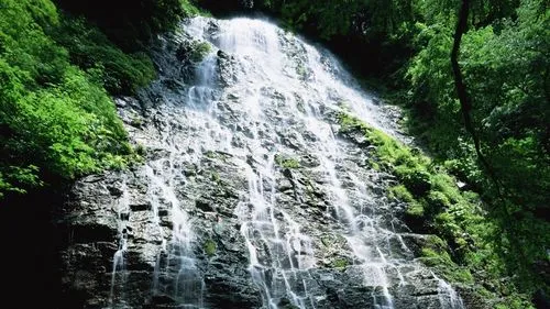 高质量高效