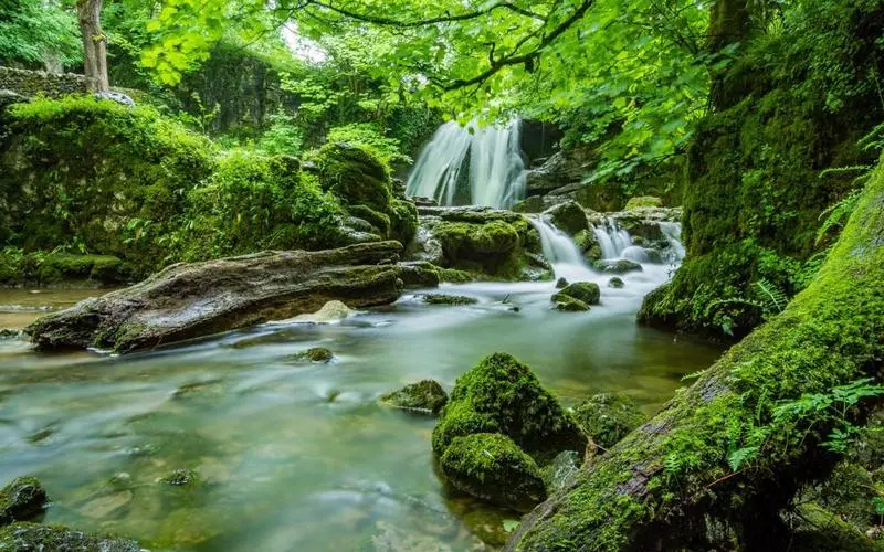 独特高标准